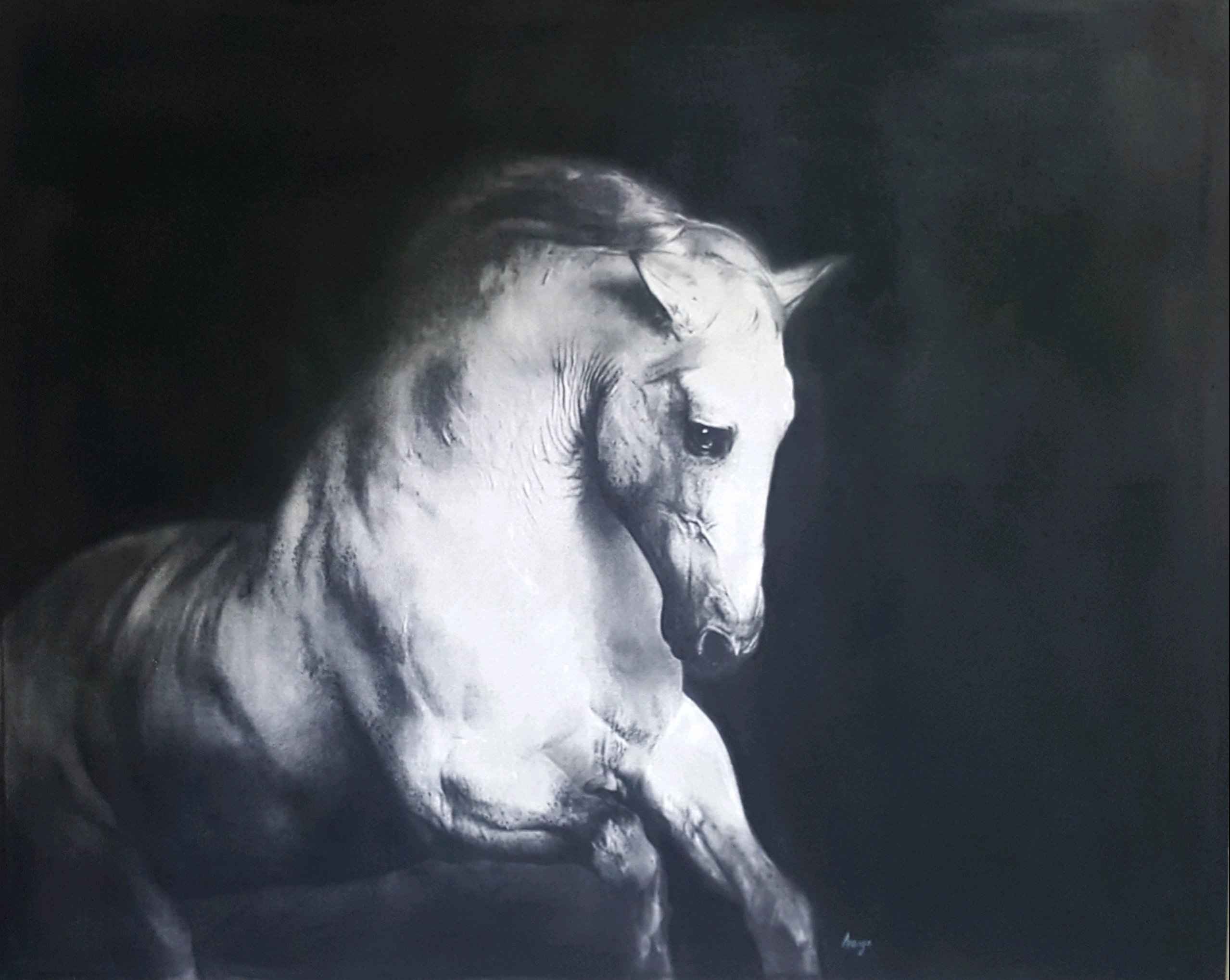 Nuevo documento(4)_0_1633155924.jpg